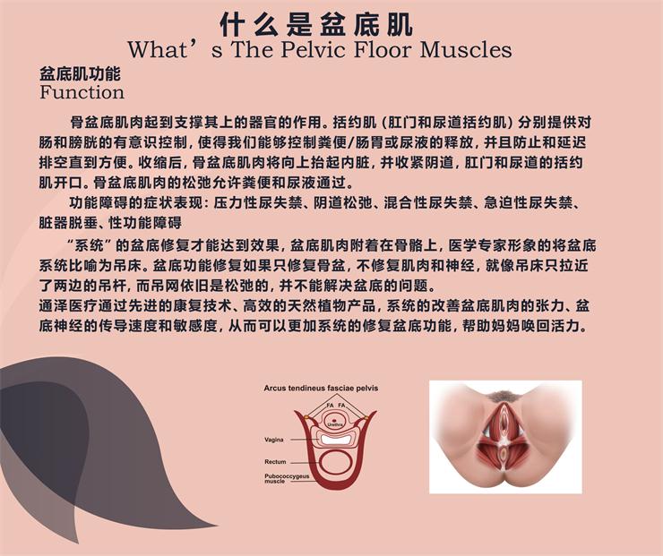 盆底肌修復(fù)儀器，能用于骨盆修復(fù)嗎？