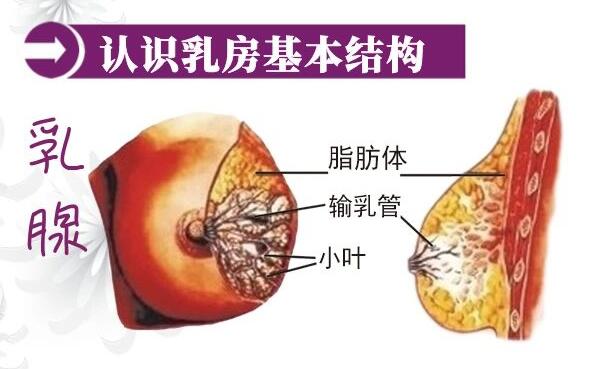 很多產(chǎn)后修復(fù)中心不知道生物反饋治療儀是什么？