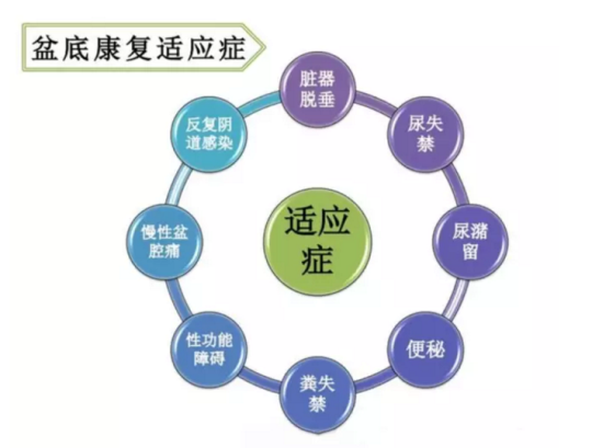 都在想盆底康復(fù)治療儀品牌，為何別人看的是盆底康復(fù)治療儀的功效與作用