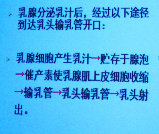 影響泌乳的因素有哪些，母乳喂養(yǎng)得了解