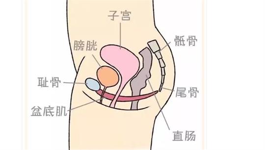 通澤便攜產(chǎn)后康復(fù)治療儀，促進(jìn)產(chǎn)后快速恢復(fù)