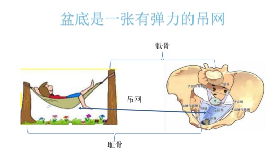 女性盆底康復(fù)要及時(shí)，否則抱憾終身，婦科盆底康復(fù)治療儀幫到您