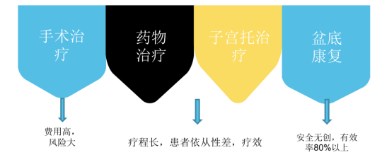 產(chǎn)后盆底肌功能康復(fù)治療儀廠家，提供專業(yè)產(chǎn)后康復(fù)方案