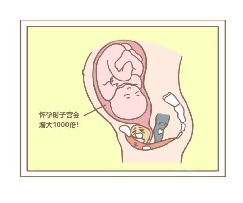 產(chǎn)后肥胖能用盆底肌修復(fù)儀器治療嗎？