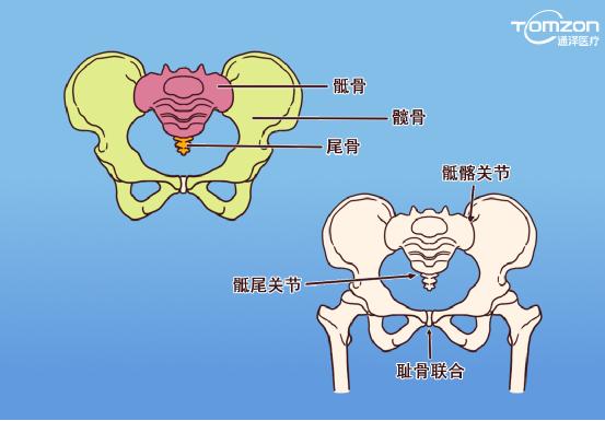 盆底肌康復(fù)儀能不能呵護(hù)健康？