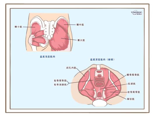 盆底康復(fù)治療儀可以緩解絕經(jīng)后出現(xiàn)的癥狀嗎？