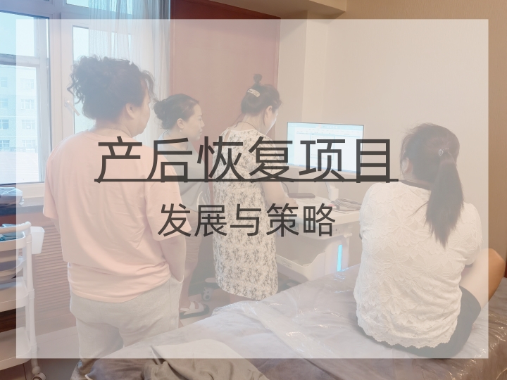 產(chǎn)后恢復(fù)項目創(chuàng)新發(fā)展與市場策略