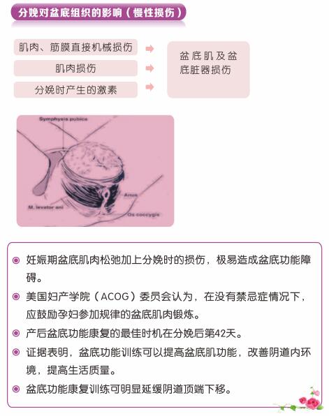 盆底肌康復治療